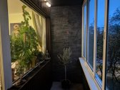Šviesus 3 Kambarių Butas Lazdynuose: Du - nuotraukos Nr. 8