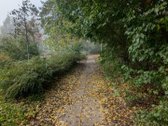 Šviesus 3 Kambarių Butas Lazdynuose: Du - nuotraukos Nr. 33