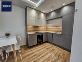 Nuomojamas Modernus 2 Kambarių Butas - nuotraukos Nr. 5