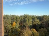 Parduodamas tvarkingas, šviesus ir jaukus 3 - nuotraukos Nr. 12