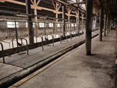 Parduodamas ūkis su 61ha žemės ūkio - nuotraukos Nr. 10