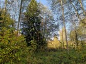 Molėtų r., Inturkės sen., Didžialaukio k. - nuotraukos Nr. 2