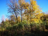 Molėtų r., Inturkės sen., Didžialaukio k. - nuotraukos Nr. 3