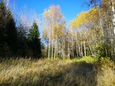 Molėtų r., Inturkės sen., Didžialaukio k. - nuotraukos Nr. 7