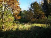 Molėtų r., Inturkės sen., Didžialaukio k. - nuotraukos Nr. 9