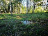Molėtų r., Inturkės sen., Didžialaukio k. - nuotraukos Nr. 15