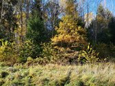 Molėtų r., Inturkės sen., Didžialaukio k. - nuotraukos Nr. 8