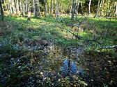 Molėtų r., Inturkės sen., Didžialaukio k. - nuotraukos Nr. 17