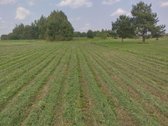 Sklypas 42,51 arų. - nuotraukos Nr. 3