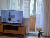 Ilgalaikei nuomai nuomojamas 1kambario butas - nuotraukos Nr. 4