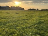 Parduodami du namų valdos sklypai Birštono - nuotraukos Nr. 3