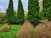 Parduodamas 9,92 A Sodo Sklypas Palangoje, - nuotraukos Nr. 7