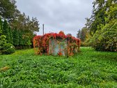 Parduodamas 9,92 A Sodo Sklypas Palangoje, - nuotraukos Nr. 3
