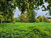 Parduodamas 9,92 A Sodo Sklypas Palangoje, - nuotraukos Nr. 6