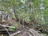 2 kambarių butas - nuotraukos Nr. 3