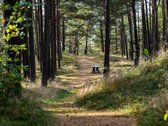 Palangoje, Pirmoje Linijoje Nuo Jūros – - nuotraukos Nr. 10