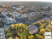  – Nt ekspertai be procentų - nuotraukos Nr. 39