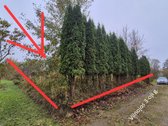 Parduodami 2 Besiribojantys Sodo Sklypai - nuotraukos Nr. 3
