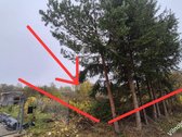 Parduodami 2 Besiribojantys Sodo Sklypai - nuotraukos Nr. 8
