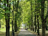 Išnuomojamas Naujas 3-jų Kambarių Butas - nuotraukos Nr. 17