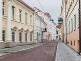 Išskirtiniai Klasikinio Stiliaus Apartamentai - nuotraukos Nr. 15