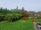 Parduodamas prižiūrėtas 7arų sodas su sodo - nuotraukos Nr. 7