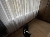 Nuomojame dviejų kambarių butą ką tik pilnai - nuotraukos Nr. 10