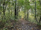 3 Kambarių Butas Žalumos Apsuptyje – Miškas - nuotraukos Nr. 6