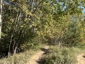 3 Kambarių Butas Žalumos Apsuptyje – Miškas - nuotraukos Nr. 7
