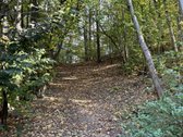 3 Kambarių Butas Žalumos Apsuptyje – Miškas - nuotraukos Nr. 20