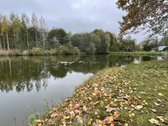 Parduodamas išpuoselėtas sklypas gamtos apsuptyje - nuotraukos Nr. 2