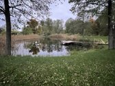 Parduodamas išpuoselėtas sklypas gamtos apsuptyje - nuotraukos Nr. 3