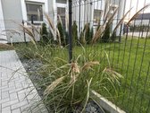 Dokumentacija: - nuotraukos Nr. 12