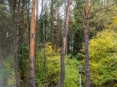 Parduodamas Sublokuotas 135 Kv. M Gyvenamasis - nuotraukos Nr. 15