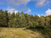 Parduodama 50 Arų Sodybvietė Miško Apsuptyje - nuotraukos Nr. 2