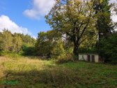 Parduodama 50 Arų Sodybvietė Miško Apsuptyje - nuotraukos Nr. 5