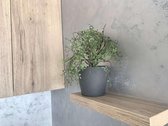 Be tarpininkų nuomojamas 2 kambarių butas - nuotraukos Nr. 7