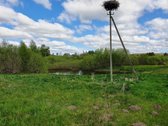 Parduodame 1.3302 Ha Kitos Žemės Ūkio - nuotraukos Nr. 10