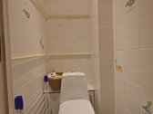 Buto Nuoma Šeškinėje 2 Kambarių Su Visais - nuotraukos Nr. 11