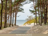 Kunigiškėse parduodamas apgalvotai - nuotraukos Nr. 16