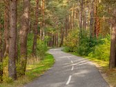 Kunigiškėse parduodamas apgalvotai - nuotraukos Nr. 18