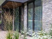 Paskutiniai dviejų kambarių apartamentai - nuotraukos Nr. 11