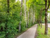 3 Dalykai, Dėl Kurių Šis Butas Ypatingas: - nuotraukos Nr. 41