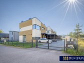 Itin jaukiame, pilnai susiformavusiame - nuotraukos Nr. 32