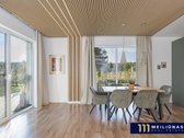 Itin jaukiame, pilnai susiformavusiame - nuotraukos Nr. 4
