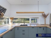 Itin jaukiame, pilnai susiformavusiame - nuotraukos Nr. 12