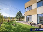 Itin jaukiame, pilnai susiformavusiame - nuotraukos Nr. 15