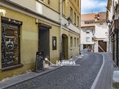 XVIII amžiaus Vilniaus istorijos dalimi - nuotraukos Nr. 21
