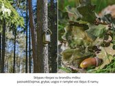 Parduodamas sodo namas išskirtinai ramioje ir - nuotraukos Nr. 16