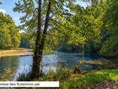 Parduodamas sodo namas išskirtinai ramioje ir - nuotraukos Nr. 19